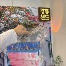주식회사강원 | [강원/강릉]강원도 강릉 교동 강릉샌드 원조 맛집...방파제빵 기념품 포장 구매 후기 ‘강릉샌드 본점’