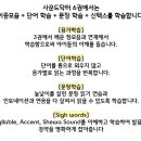 영수닥터학원 이미지