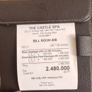 고스트캐슬 | [호이안에에서→ 다낭 이동] 6명, 15인승 차량 무료 이용하기 {더 캐슬 스파}