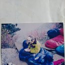 - 31년전 이맘때쯤인 1995년 5월초, 북한산 인수봉 등반일지! 이미지