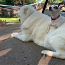 개편한세상 이미지