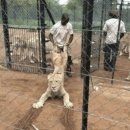 갈라콘서트 <오페라 투어 in 유럽> | [동유럽] 6월 동유럽 참좋은여행 체오헝 패키지 후기 4 part3 : 오스트리아 비엔나 자유시간 오페라...