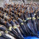 백담마을 이미지