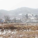 두산3리농로 이미지
