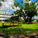 곡성 청소년문화의집 이미지