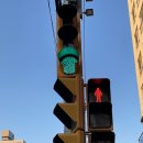 하단동1163 이미지