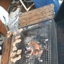 공간의미게스트하우스 이미지