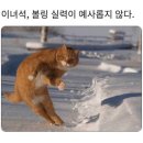 듀인테리어