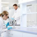 코리아(KOREA) 이미지