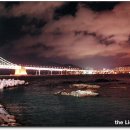 해운대 야경과 주경을 맛집 기행과 함께 마음껏 감상할 수 있는 최고의 방법 이미지