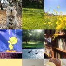 가내초등학교 | 한가함의 마침표 (대전-스튜디오큐브, 아쿠아리움/공동교육과정-미디어콘텐츠,방송제작)