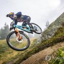 Mountain World 이미지