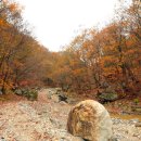 목교농장 이미지