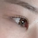 테오트리안양 | 안양 속눈썹펌 테오트리 : 내돈내산 속눈썹펌 후기 안양 속눈썹펌 잘하는곳
