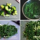 요리보리 이미지