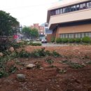 거북선공원(체육관 옆) 이미지