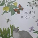 우리동네바른수학
