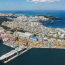 미운오리 이미지