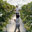 채림농장 이미지