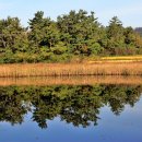 서광농장 이미지