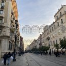 대서광장 이미지