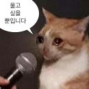 강남푸른안과의원 네이버블로그