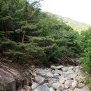 불광2-010 이미지