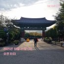 데이즈제이 | 유기농생식 데이즈온 곱슬케일 후기
