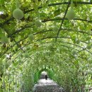 원천마을 이미지