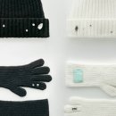 파인글로브 이미지