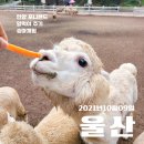 포내목장 네이버블로그