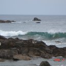 하인천상회 이미지