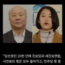 민주당, 해산된 통진당 출신 김재연 금배지 달아주나 이미지