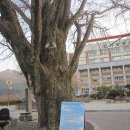 선창농장 이미지