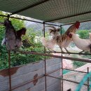 정식농장 이미지