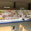 힐링독파크 이미지