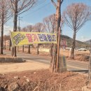 해마루유치원 | [내돈내산] 아이들과 실내 딸기체험 추천 포천 해마루딸기농장 방문!