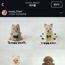 멍프레시 이미지