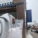 파이올데이 이미지