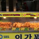 이가꽈배기 이미지