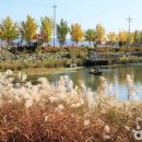 (주)포유리조트 이미지