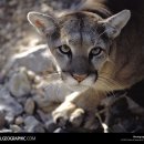 향기있는풍경 이미지