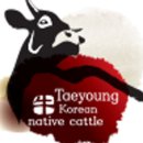 태영도서 이미지
