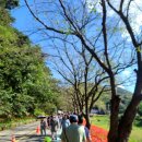 불갑사관광지 안내소 이미지