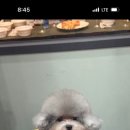 메종VIP203 이미지