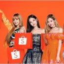 쇼피나라 이미지