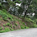 대청호오백리길 찬샘마을길 이미지