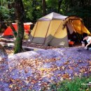 용진교이동식화장실 | 단풍이 물들기 시작한 한라산을 오르다.1편(관음사 탐방안내소-구린굴-탐라계곡까지)