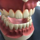 단아치과 이미지