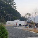 스테이 272 이미지